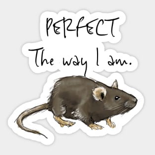 Perfect Rat Sticker